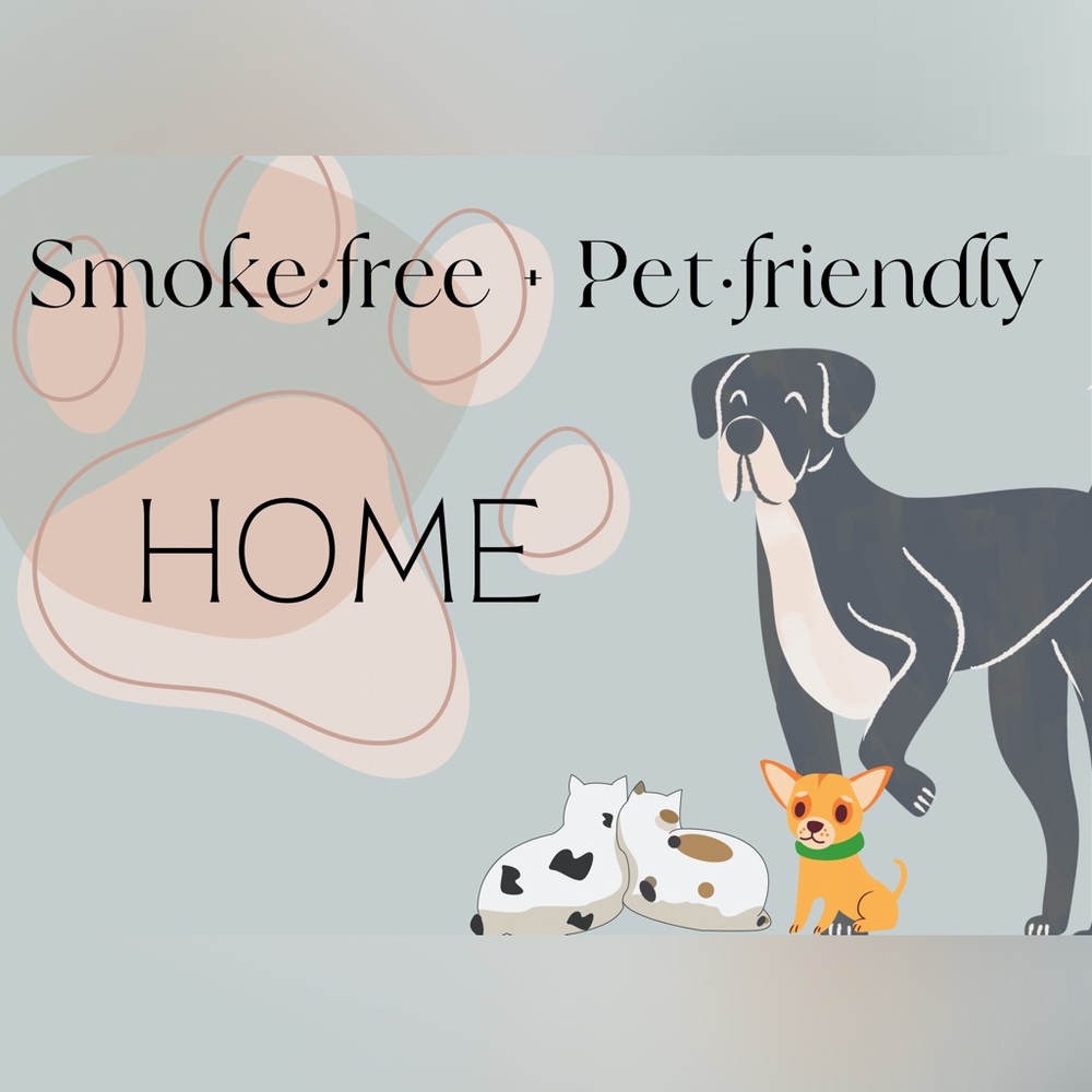 🐶 Just a message from a Great Dane,Chihuahua, & 2 nutty cats fur-mom 🐱